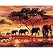 Produktbild rawuin DIY Öl Malen nach Zahlen Elefanten Landschaft Zeichnen auf Leinwand Büro Decor (# 402)