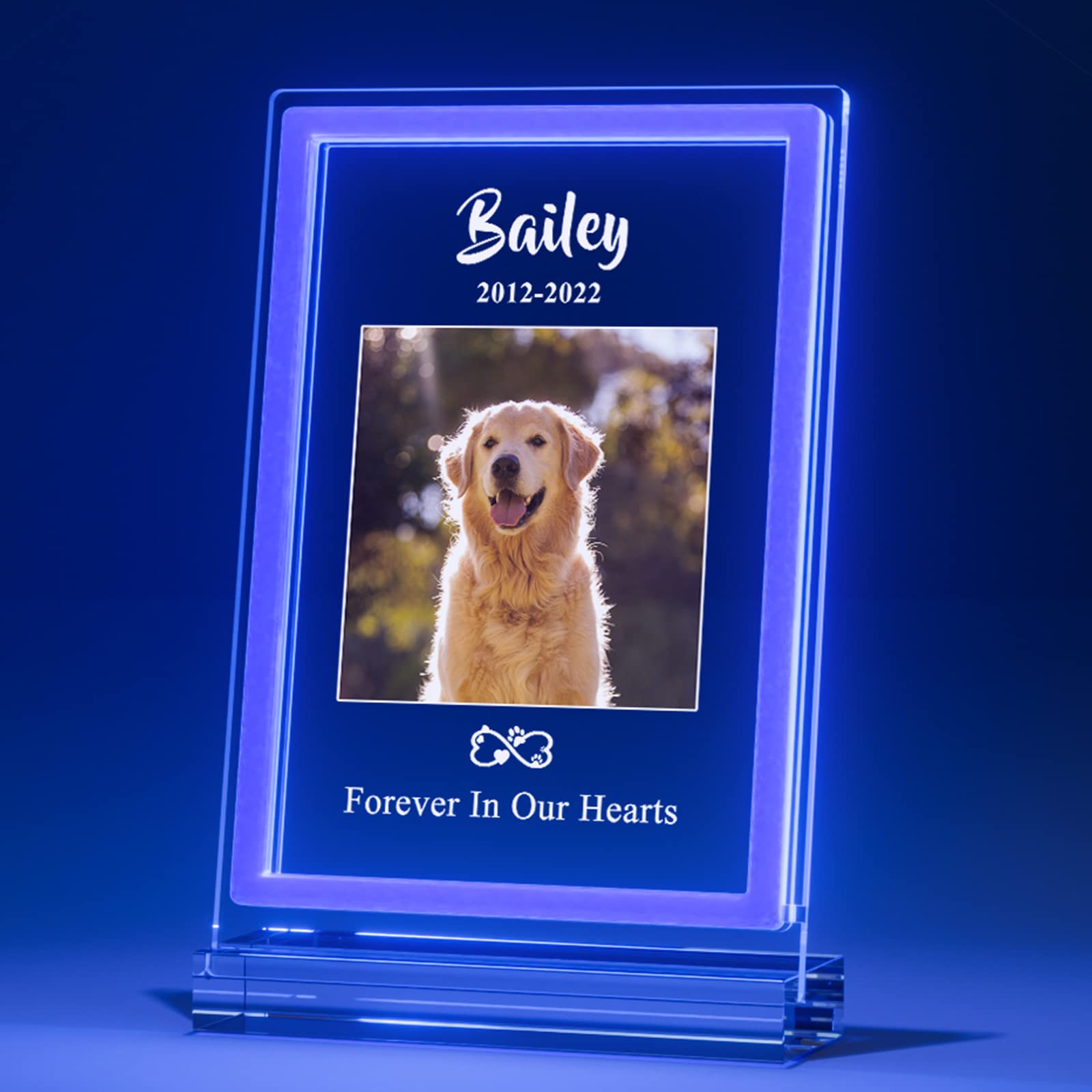 Idiy Personalized Pet Memorial Gifts - Custom Neon Sign Light, Loss Gifts, Dog Plaque with Picture, Photo Frame Sympathy Remembrance Gift in Memory of Cat
