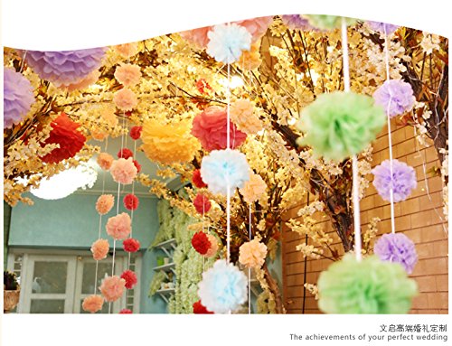 Saitec ® 12Pcs Mixed Sizes White & Silver Tissue Paper Pom Poms Pompoms Wedding Birthday Party Decoration Holiday Supplies #TOP5