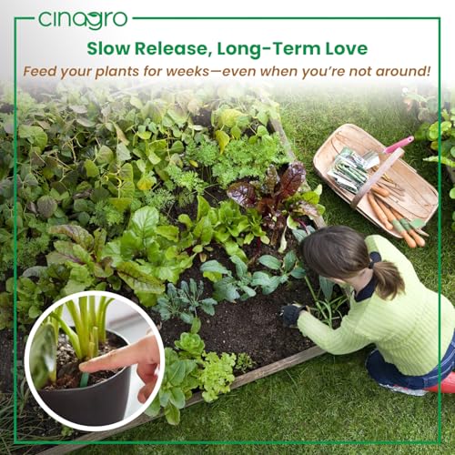 Image of Cinagro Plant Food Fertilizer Sticks Pack of 20, Natural Magic for Plants | Multi-Purpose Natural Growth Booster, For Flowers, Fruits & Leafy Plants