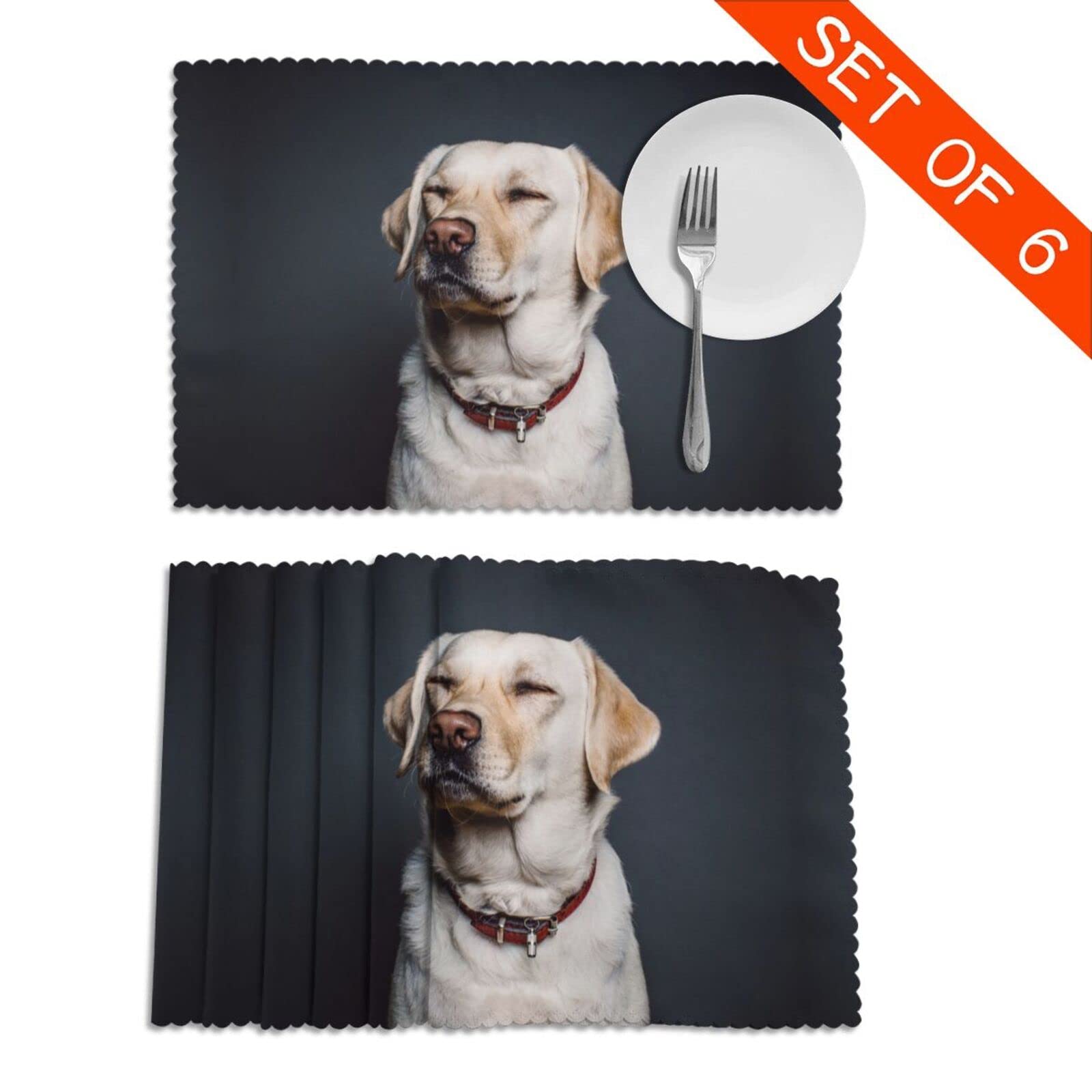 Labrador Retriever Placemat Tafelmatten met hondenprint, hittebestendig, wasbaar, linnen, placemats, set voor keuken, eetkamer, terras