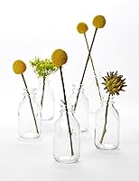 Serene Spaces Living Vintage Glass Milk Bottle Bud Vases Set of 6 - 4.25" Clear Bud Vases for Home Decor, Weddings, Events & Centerpieces