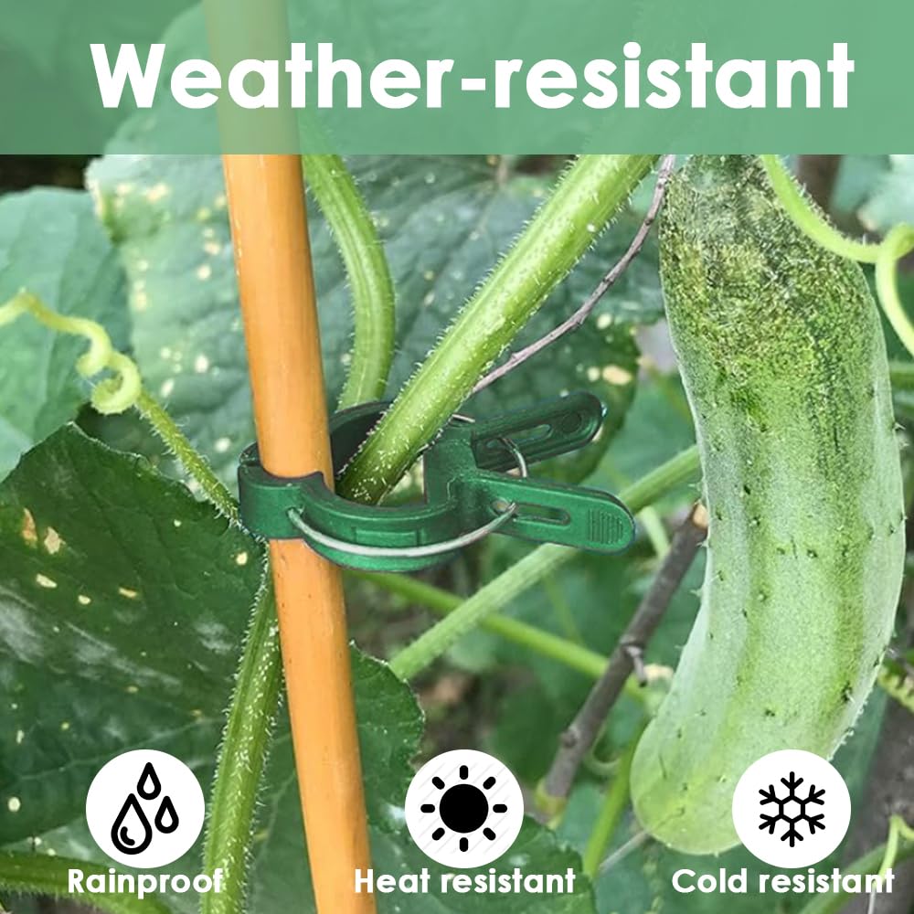 Ram 100 PCS Garden Plant Clips Adjustable Plant Stem Clips for Support Vine Vegetables Tomatoes Climbing Plants 2 SIZES - Image 3