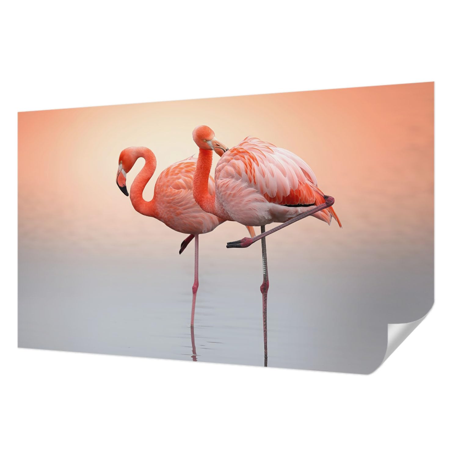 Papier peint adhésif flamants roses 416x254 cm panoramique