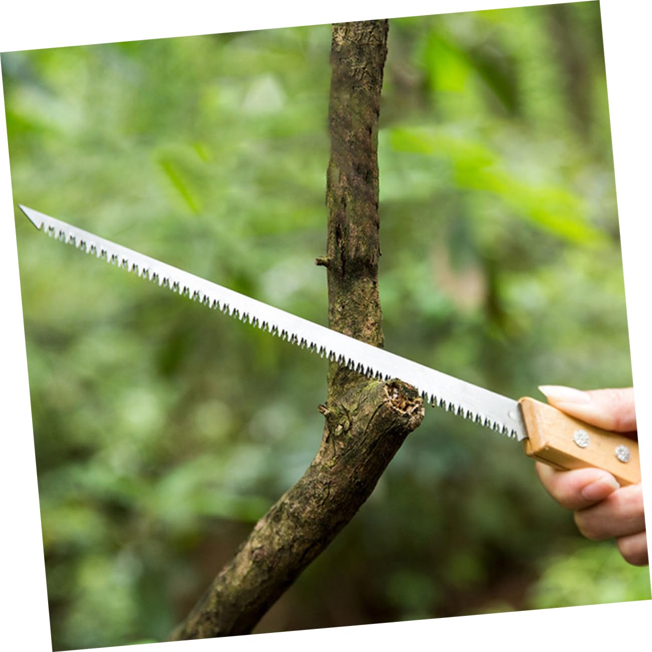 BESPORTBLE 3 Ensembles Scie D'Élagage De Jardin Scie À Tronçonner Portative À Métaux Japonaise Petite À Main À Main Pour La Coupe Du Bois Petite 2 pièces * 3