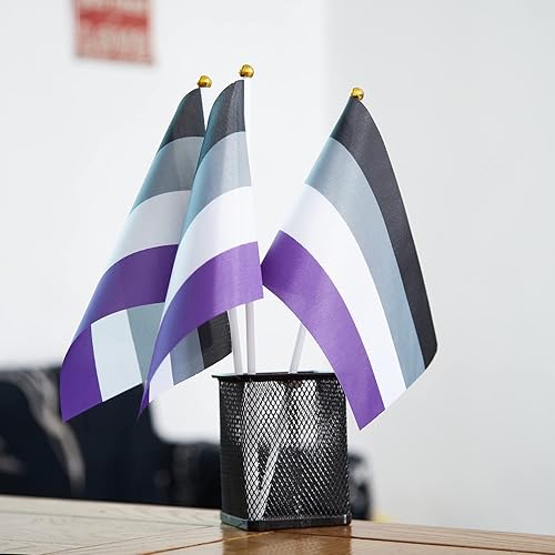 Vista 29 de GentleGirl Paquete de 12 banderas de arco iris del orgullo arcoíris, pequeñas banderas de mano gay LGBT Festival fiesta desfiles decoraciones Bander