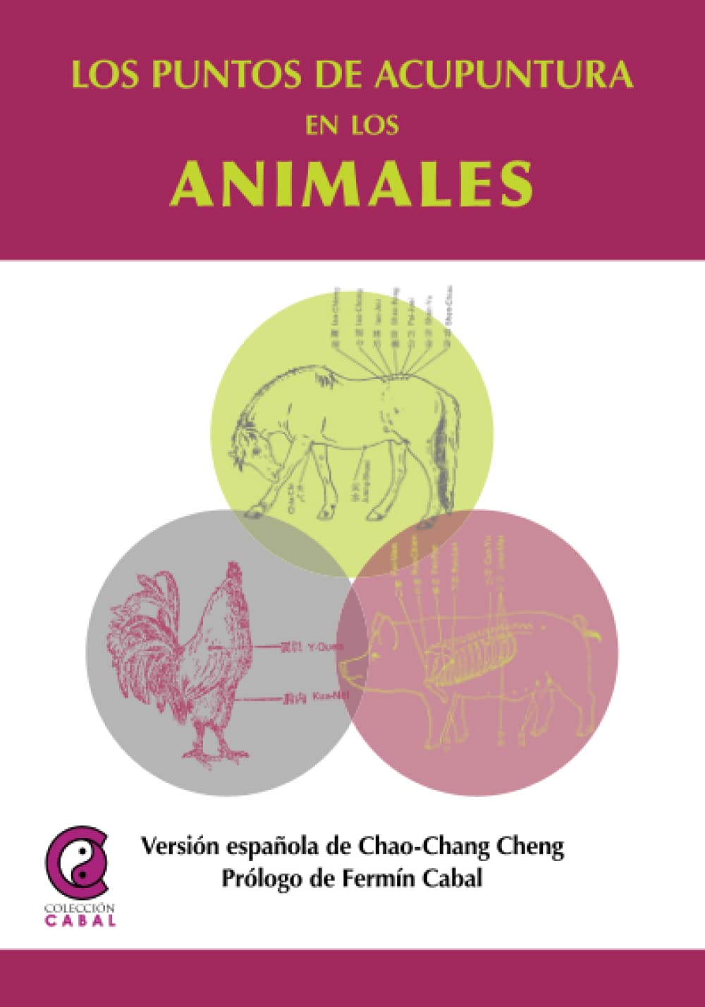 Los puntos de acupuntura en animales
