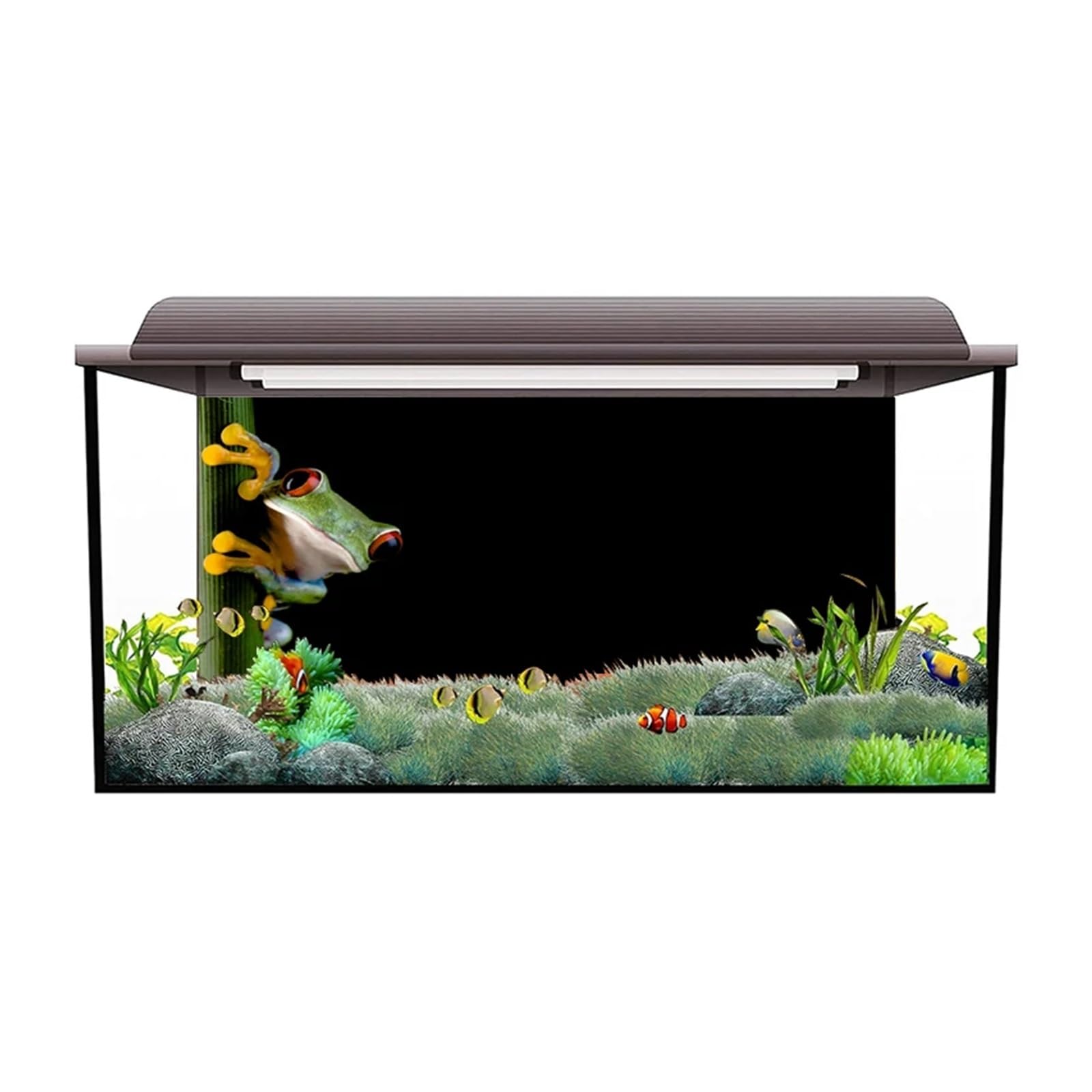 Fond Aquarium Autocollant de Fond d'aquarium, Affiche Grenouille Dessin animé, décoration, Papier Peint Auto-adhésif(41x 122cm)