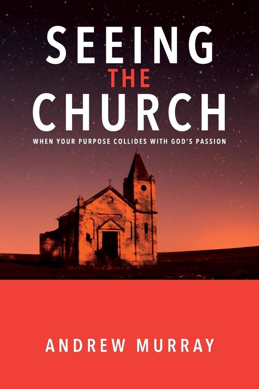 Seeing The Church: When your purpose collides with God's passion