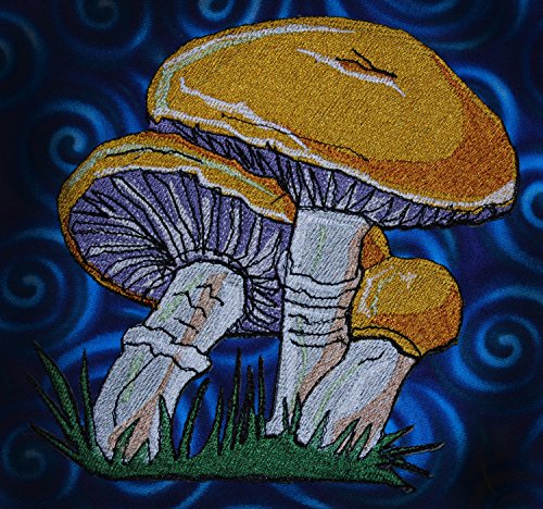Encuentra la mejor selección de Boletus edulis que puedes comprar esta semana. 14 Imagen adicional