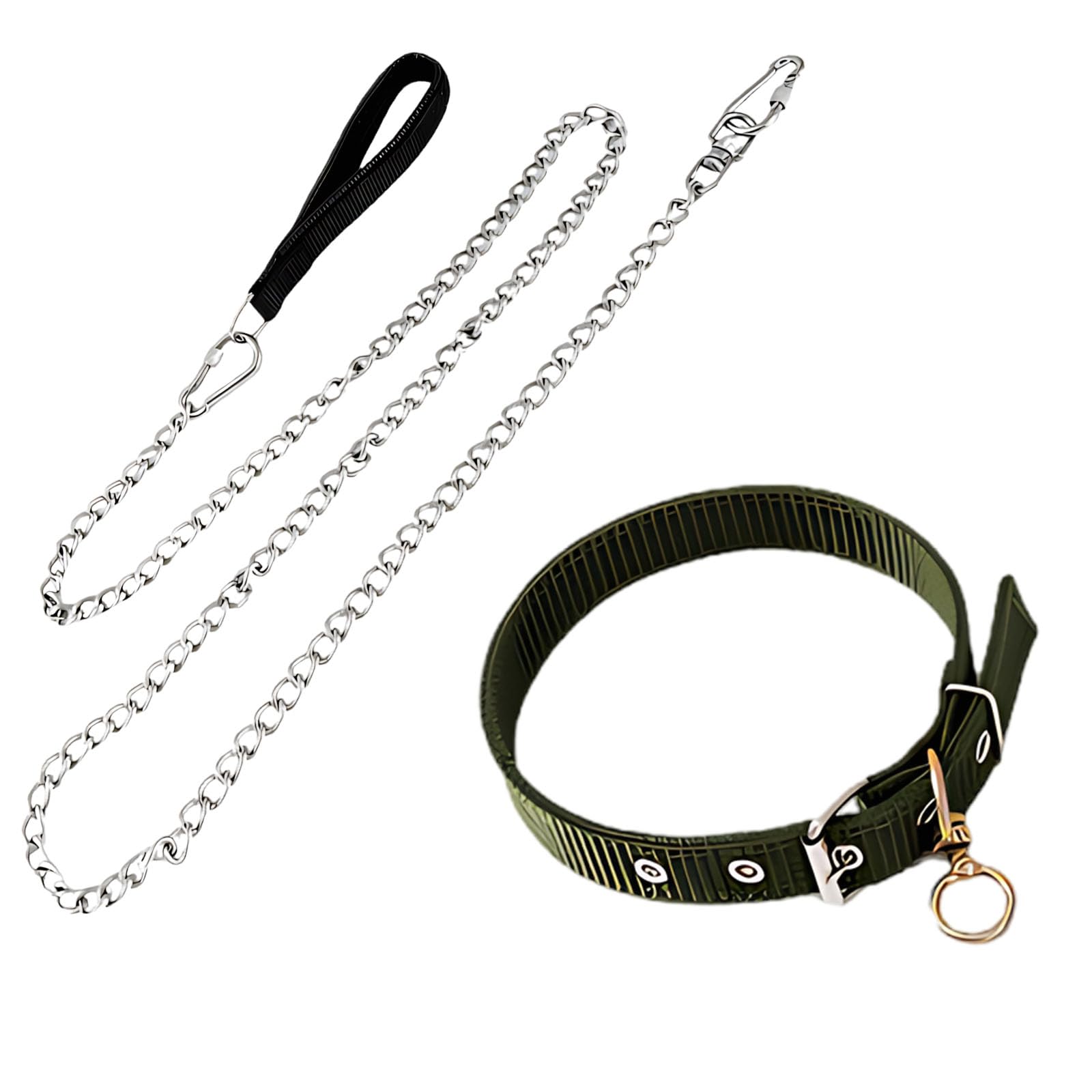 Hundeleine und Halsband Set, 4,9 ft / 150 cm Edelstahl Hundeleine mit 0,12 in / 0,3 cm Kettendurchmesser, Nylon Hundehalsband für kleine bis mittelgroße Hunde bis 40 lbs, Silber und Grün