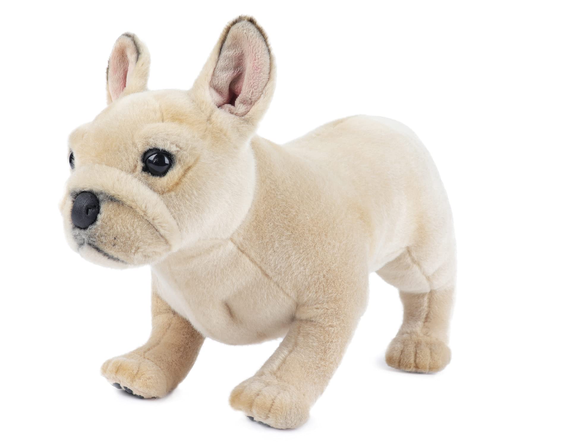 How To Take My Dog To France