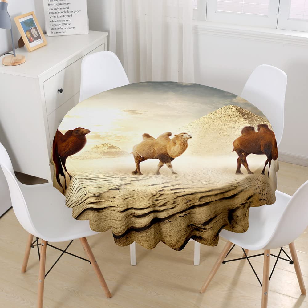 Highdi Nappe Ronde Anti Tache, 3D Coquille Imprimer Impermeable Nappe De Table De Décoration Pour Cuisine Picnic Party Jardin Table Protection Tables Pour Restaurants (coquille Blanche,Diamètre 200cm