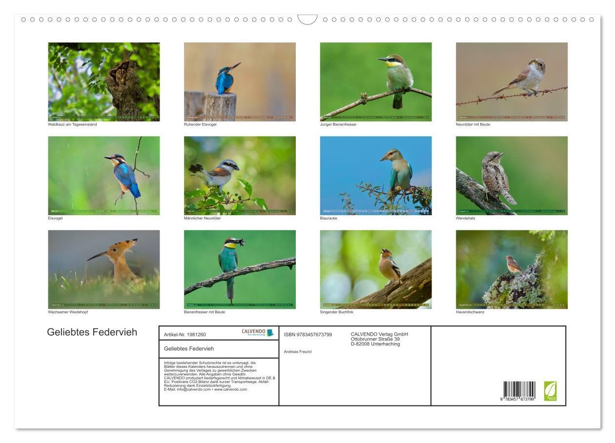 Geliebtes Federvieh (Wandkalender 2026 DIN A2 quer), CALVENDO Monatskalender: Eine Sammlung von Vogel-Fotografien, unterschiedlicher Arten und Familien. (CALVENDO Tiere)