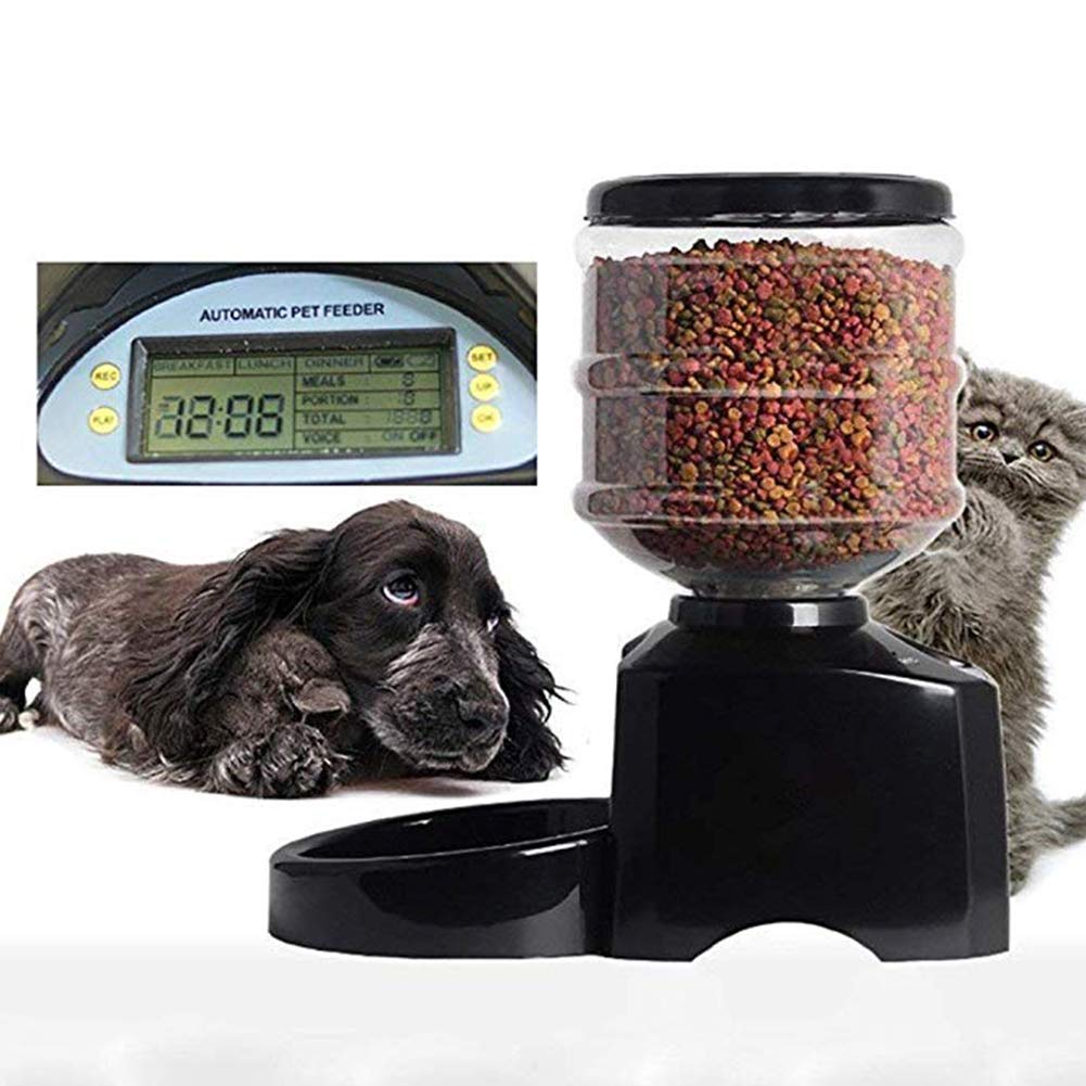 5.5L Large Capacity Recordable Automatic Timing Feeder Feeding Machine for Cats Dogs Amazon.in