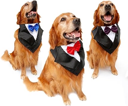 tofern hundehalsband schleife krawatte hochzeit kostum party fliege rot amazon de haustier