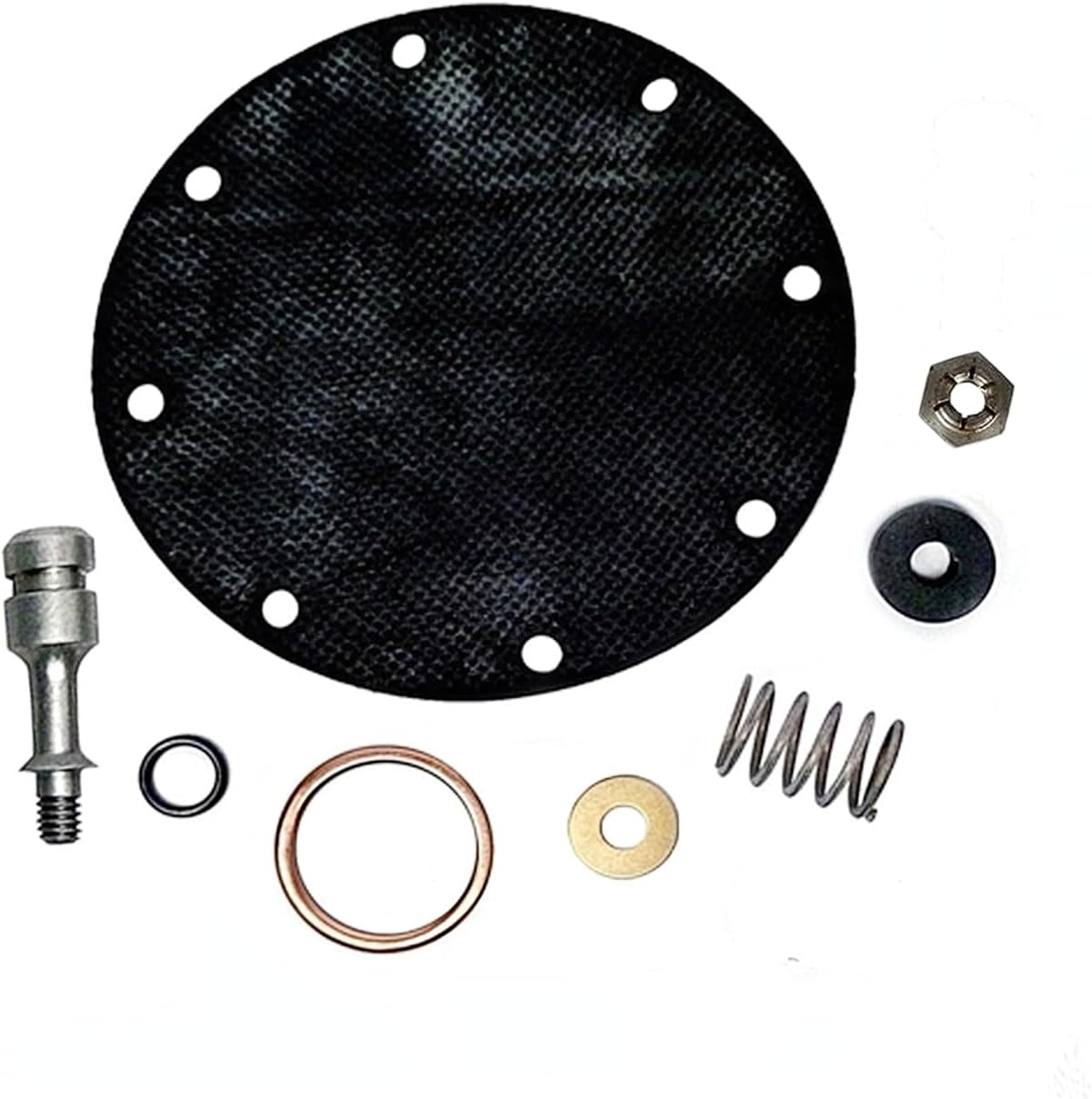 Overhaul/Repair Kit for Champion ZTD1 Automatic Tank Drain, Replaces Champion Z5941