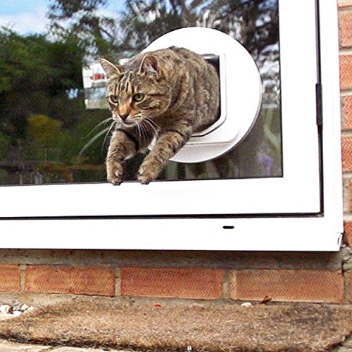 SureFlap DualScan Microchip Cat Door - Door Opening is 4 3/4" H x 5 5/8" W by SureFlap - Image 3