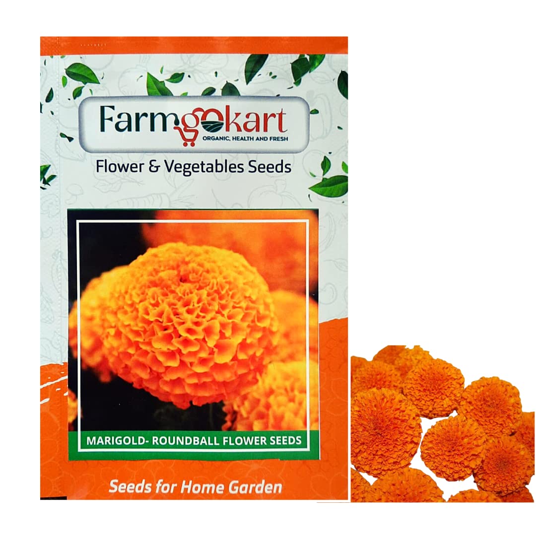 See full amazon price history chart for PACK OF 1000 SEEDS OF MARIGOLD - ROUNDBALL - FLOWER SEEDS | GROWER/NURSERY PACK FOR HOME AND PROFESSIONAL GARDENING | PACK OF 1000 SEEDS OF MARIGOLD - ROUNDBALL - FLOWER SEEDS | GROWER/NURSERY PACK FOR HOME AND PROFESSIONAL GARDENING | (B0BX6H1WX9) Amazon Price History, Amazon Price Tracker