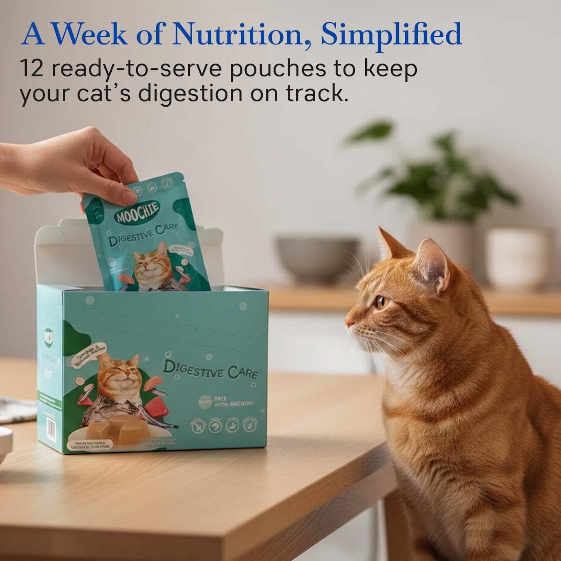 Moochie Cat Wet Food Digestive Care (85g x 6 Pouches)| Pate with Anchovy | Cat Probiotics and Digestive Enzymes Food | Health Supplement for Better Immune System. 3