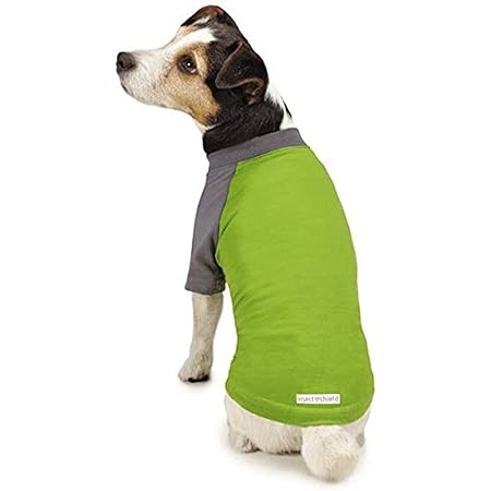 insect shield dog loop