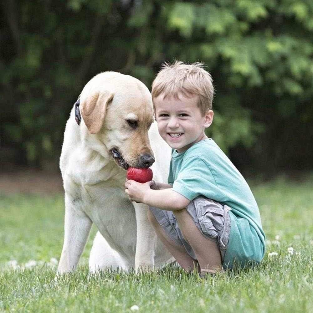 KONG Giocattolo classico per cani, giocattolo da recuperare e masticare per cani, capacità di riempimento e rimbalzo irregolare per un tempo di gioco prolungato, materiale in gomma naturale resistente