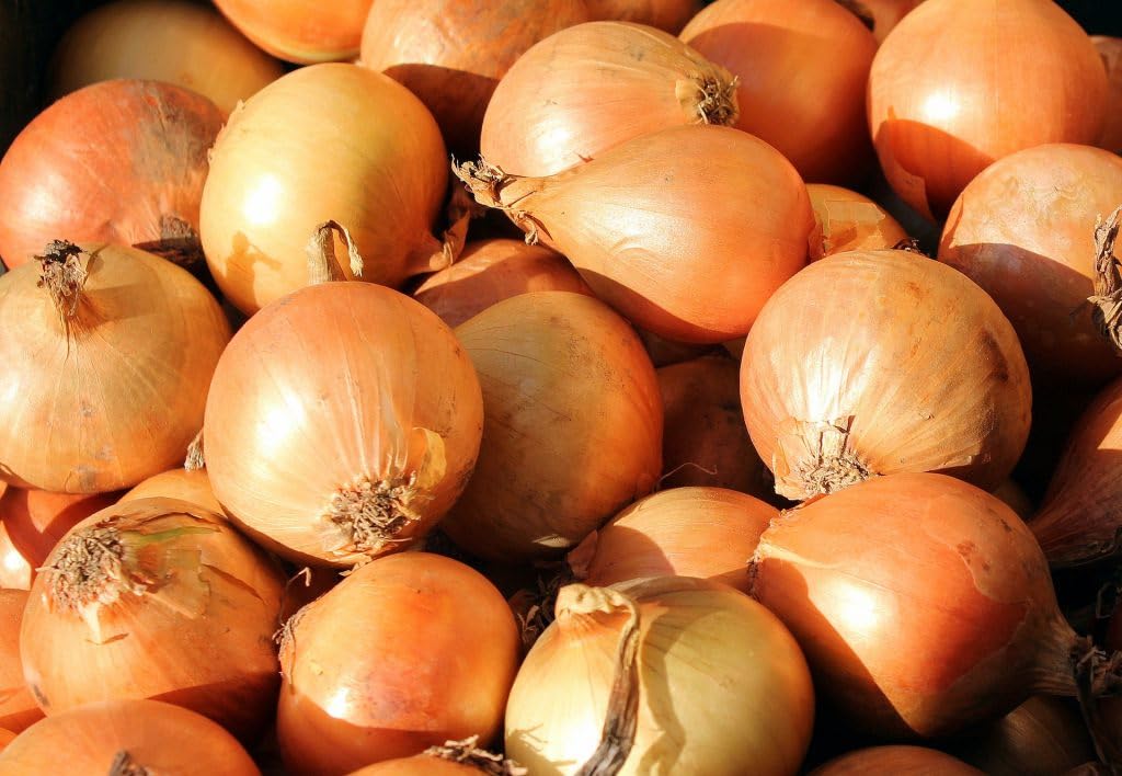 Generic Fresh Yellow Onions, Fresh Produce, USA Grown, Non-Gmo, Bulk Wholesale (20 Pounds)