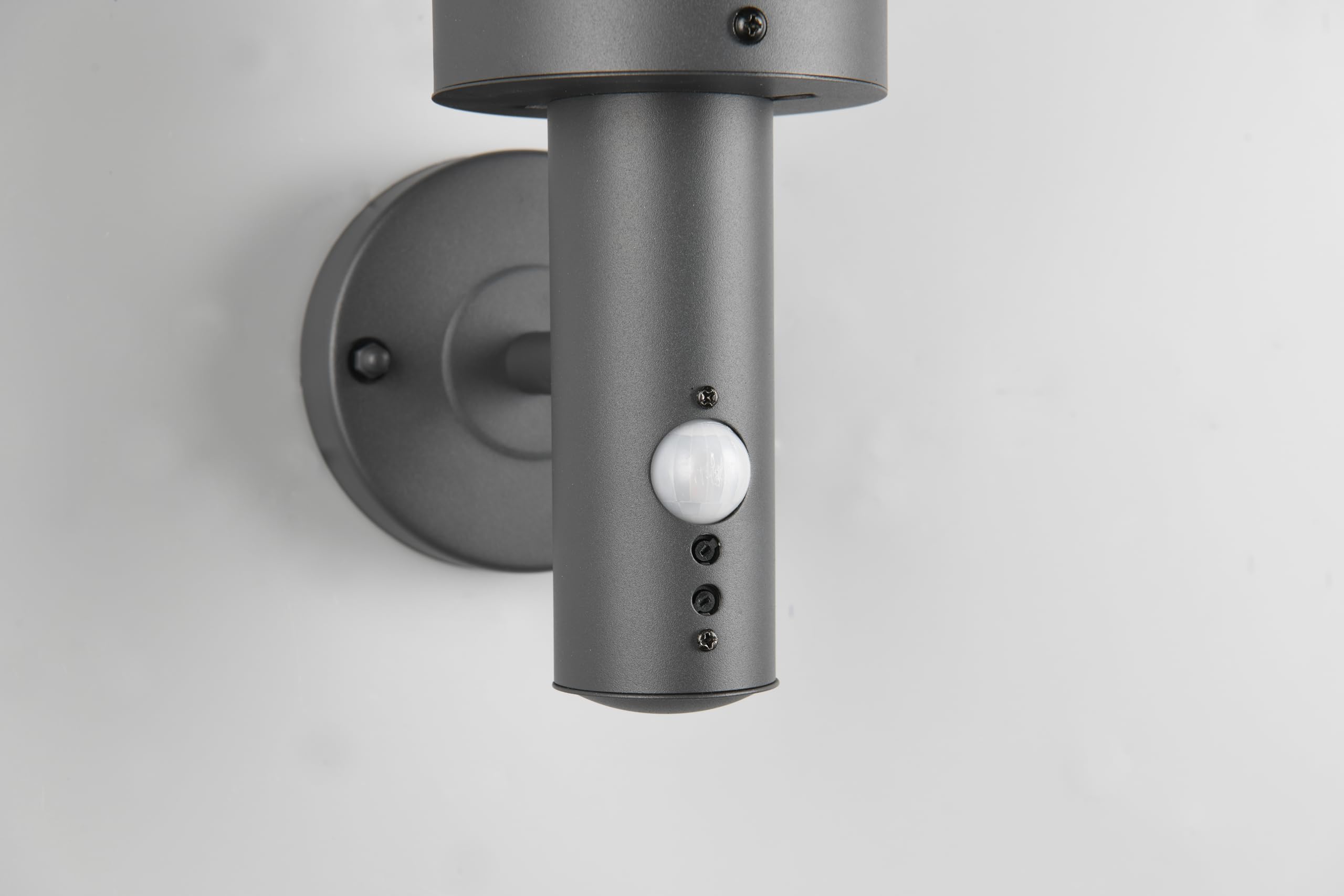 Reality Leuchten Paloma R21719142 - Lampada da parete per esterni, in metallo antracite, paralume in plastica trasparente, 1 x E27, sensore di movimento