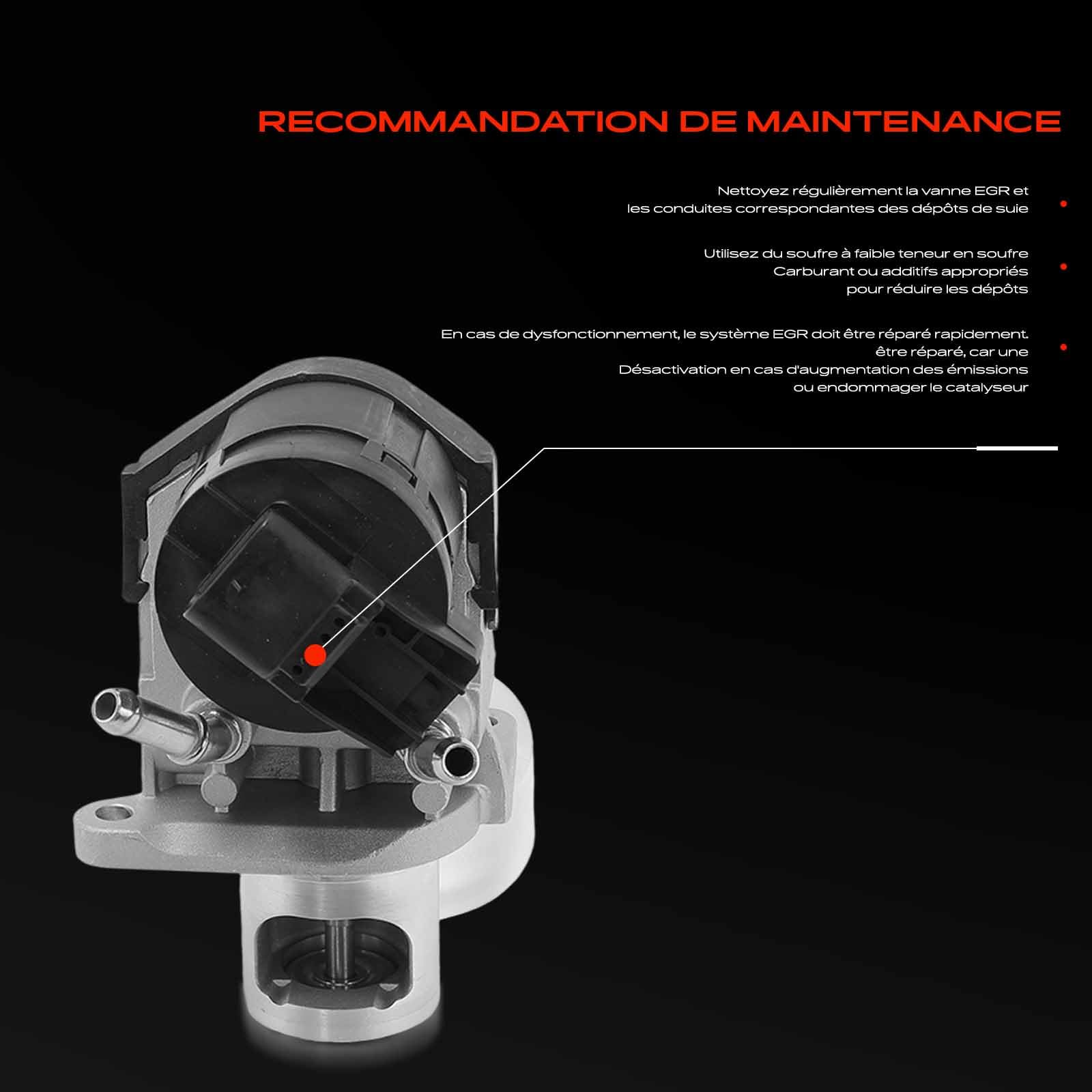 Frankberg Vanne EGR (Recirculation des gaz d'échappement) 555248 | Compatible avec: Série 3 Touring E91, X1 E84, Coupé Série 6 F13, X6 E71 E72, Série 7 F01 F02 F03 F04, Série 1 E81