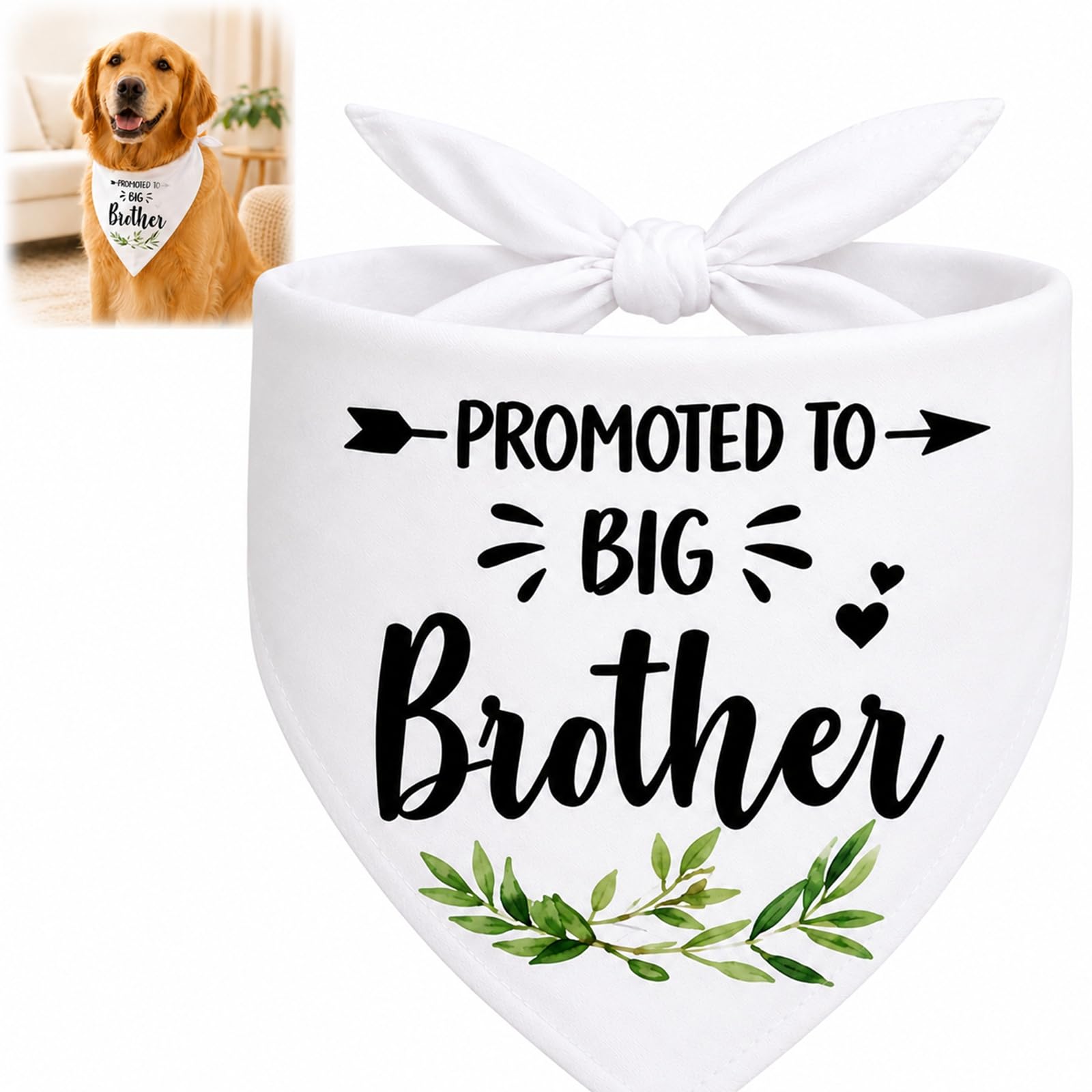 Big Brother Dog Bandana