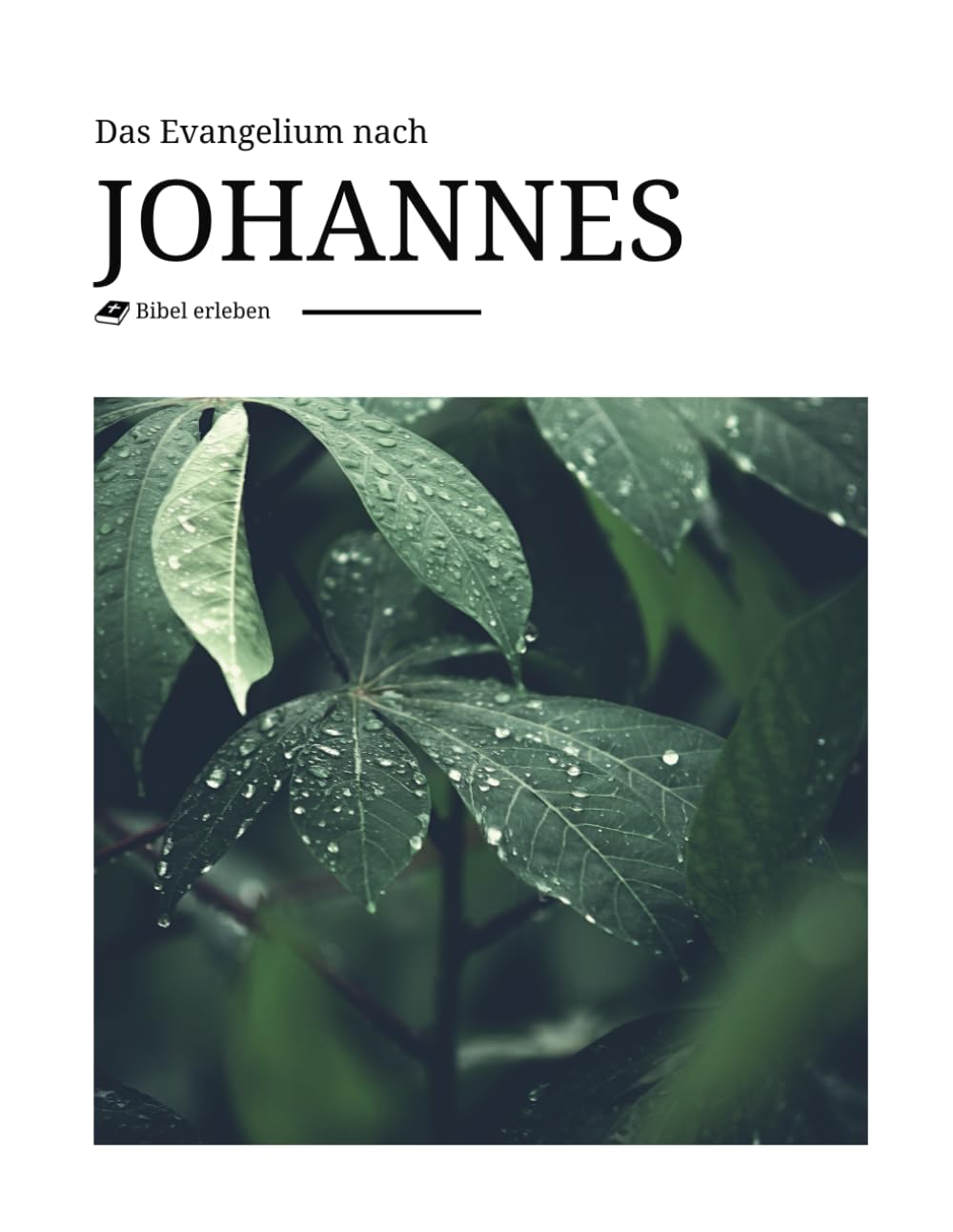 Das Evangelium nach Johannes - inhaltlich treues Buch der Bibel mit modernem und beeindruckendem Design und Bildern