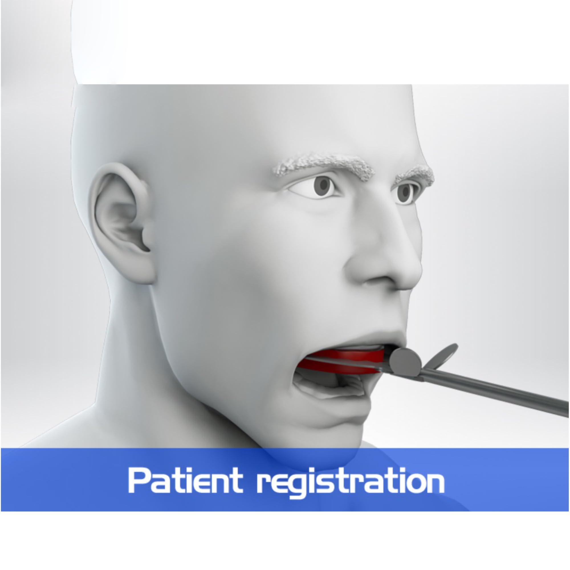 BioArt Articulator Toothless Fork