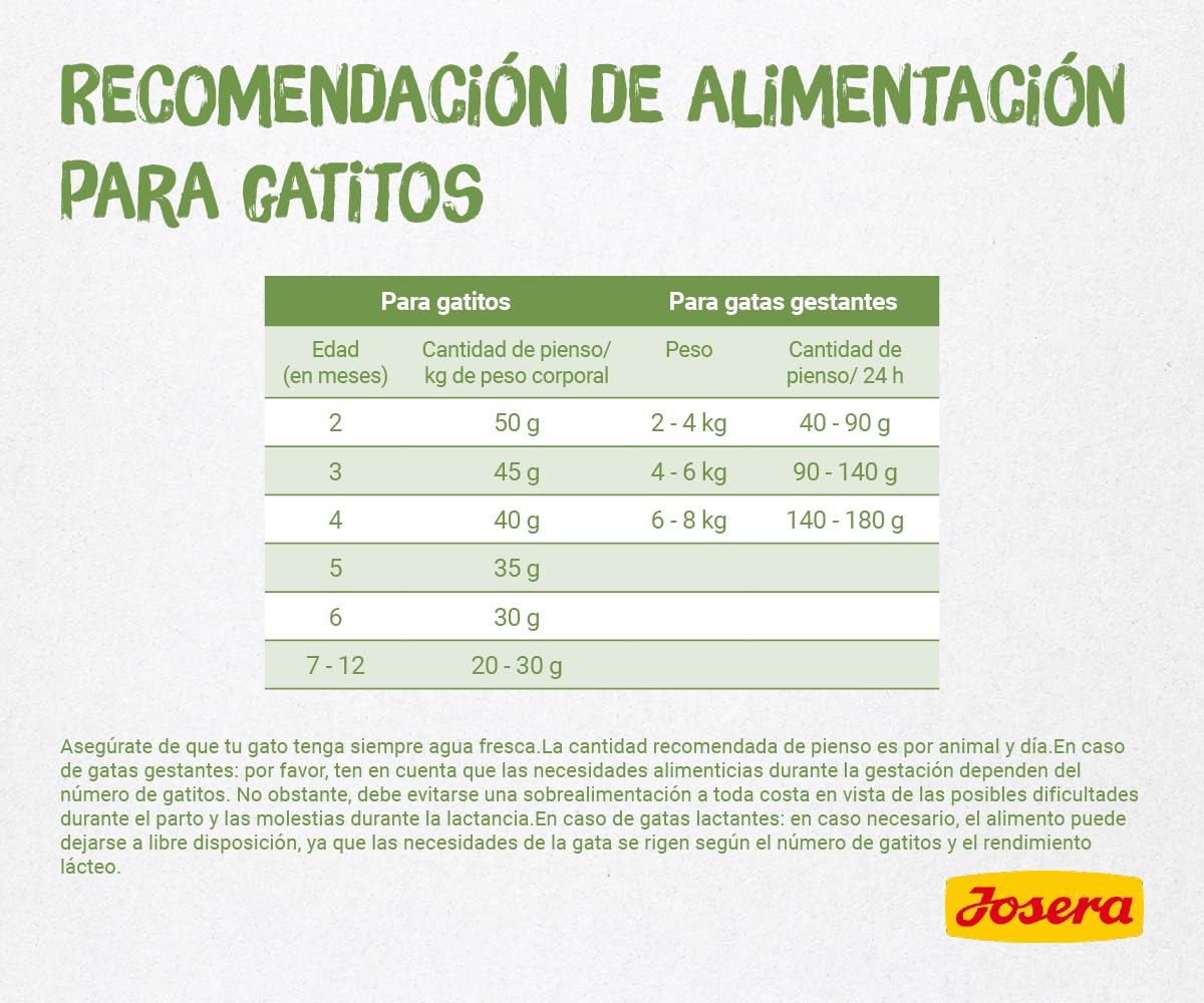 JOSERA Kitten grainfree (1 x 10 kg) | Un pienso completo para gatas gestantes, lactantes y en crecimiento | sin cereales con valioso aceite de salmón | 1 unidad