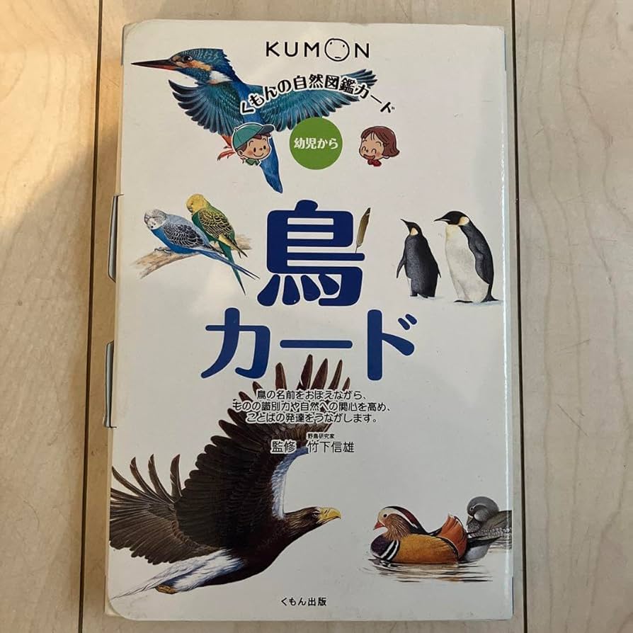 KUMON - 美品　くもんの生活図鑑カード　自然図鑑カード　小学校受験スタートセット　公文 KUMON - 美品 くもんの生活図鑑カード 自然図鑑カード 小学校