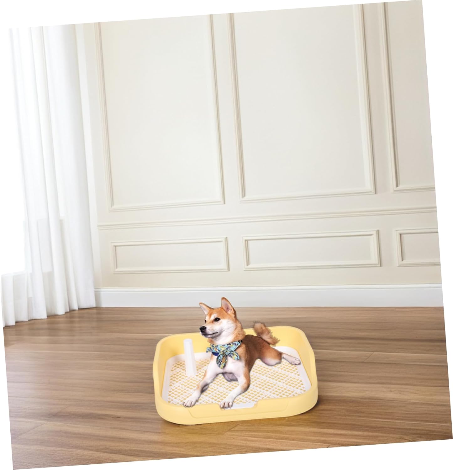Indoor Dog Potty Tray with Removable Post Splash Pet Training Toilet with Structure Easy Waste Collection Mess Cleanup