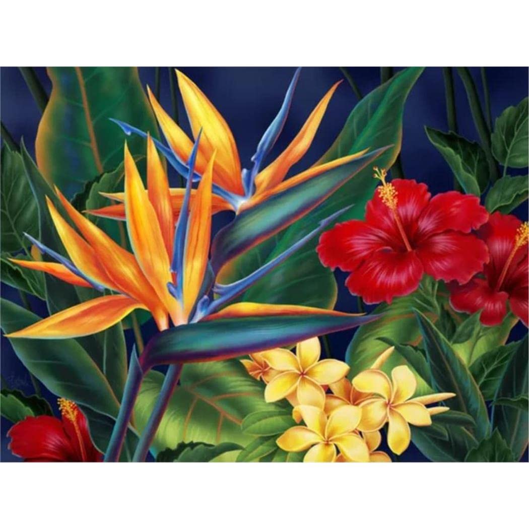 Kit Diamond Painting 5D Fai Da Te – Uccello Del Paradiso Tropicale 30x40cm, Trapani Rotondi, YSCOLOR