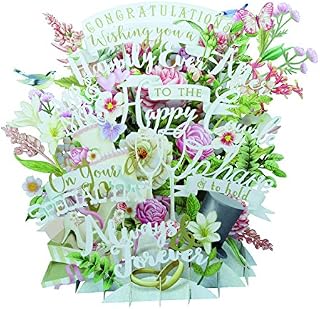 Paper D'Art 3D015 3D Pop Up Birdcage Greeting Card, Paper