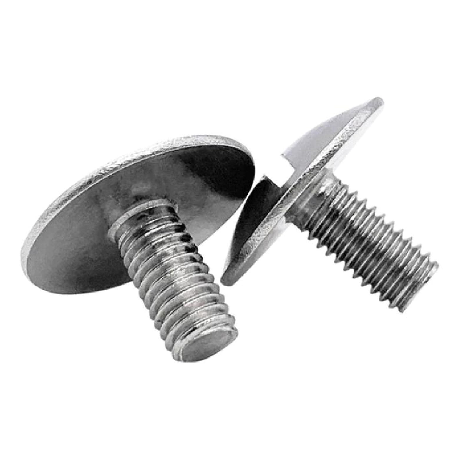 Hebie Schroef V2A M6 x 25 mm met Schnorrschijf