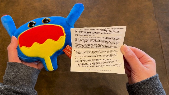 【ボクくん様用】ULCER / Grant Us Death Amazon.com: GIANT MICROBES Bladder Plush, Urology Gag Gifts