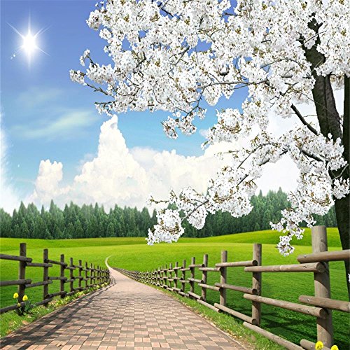 Review Product AOFOTO 10x10ft Spring Farm Scenery Photography Background Blossom Flower Tree Backdrop Rural Fence Walkway Lawn Sunny Blue Sky Park Outdoor Natural Landscape Photo Studio Props Adult Boy Girl Portrait