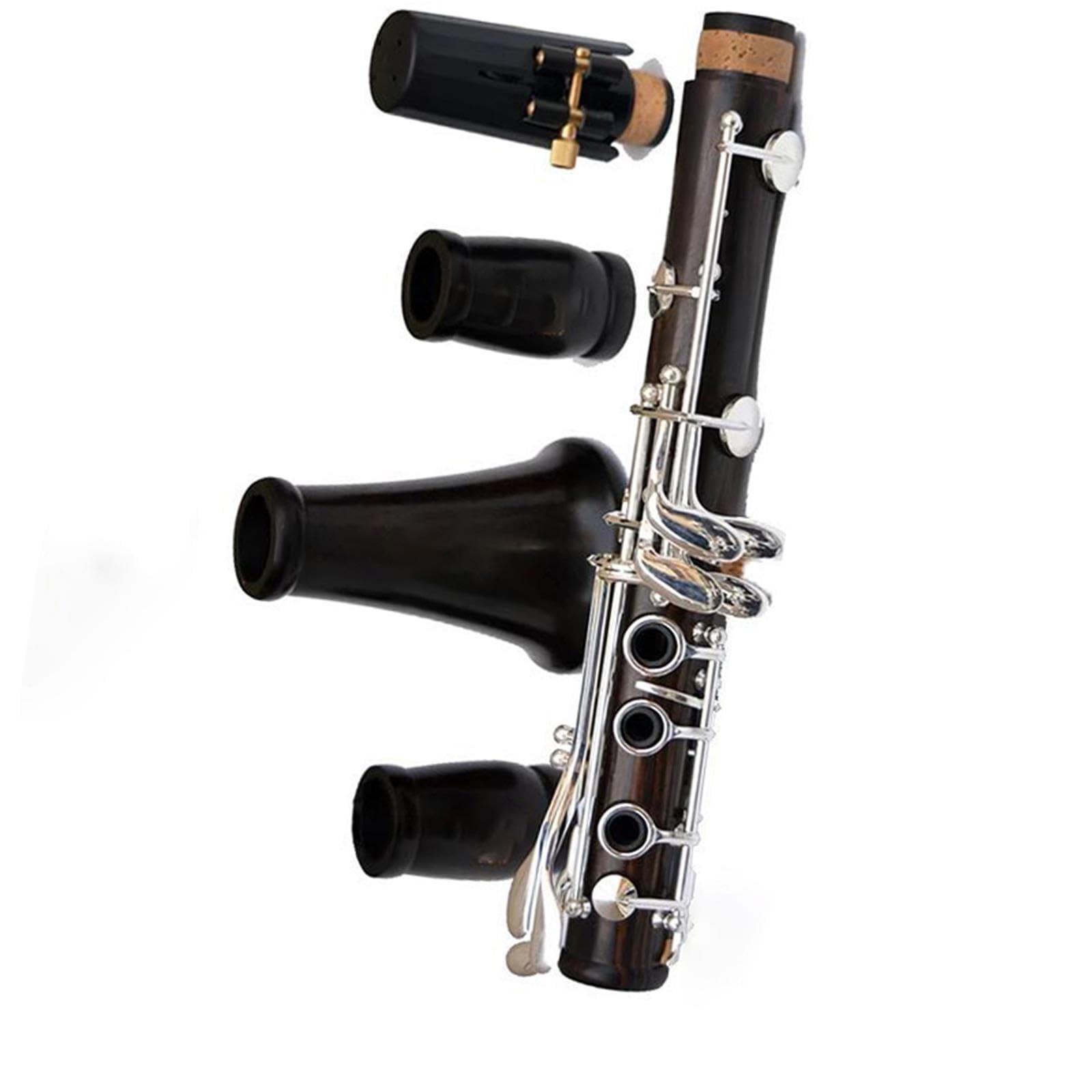 Bassklarinette Klarinette Ein Profi