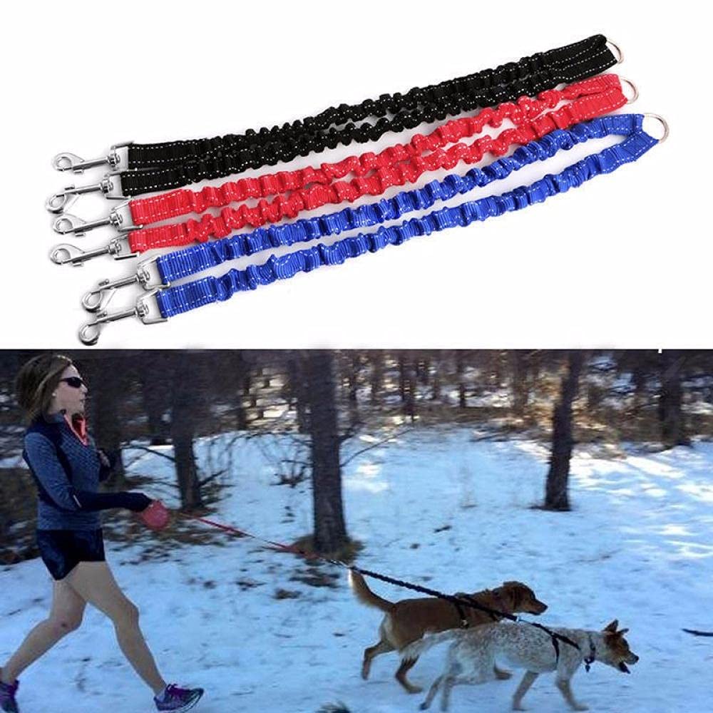 Hundeleine, Doppelte Hundeleine, rote Hundekoppelleine, doppelte, Bungee-elastisch, Zwei Hundeleinen-Splitter