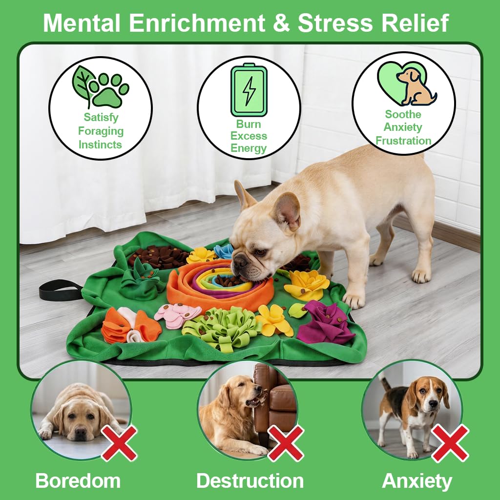 Vextronic Alfombrilla para perros