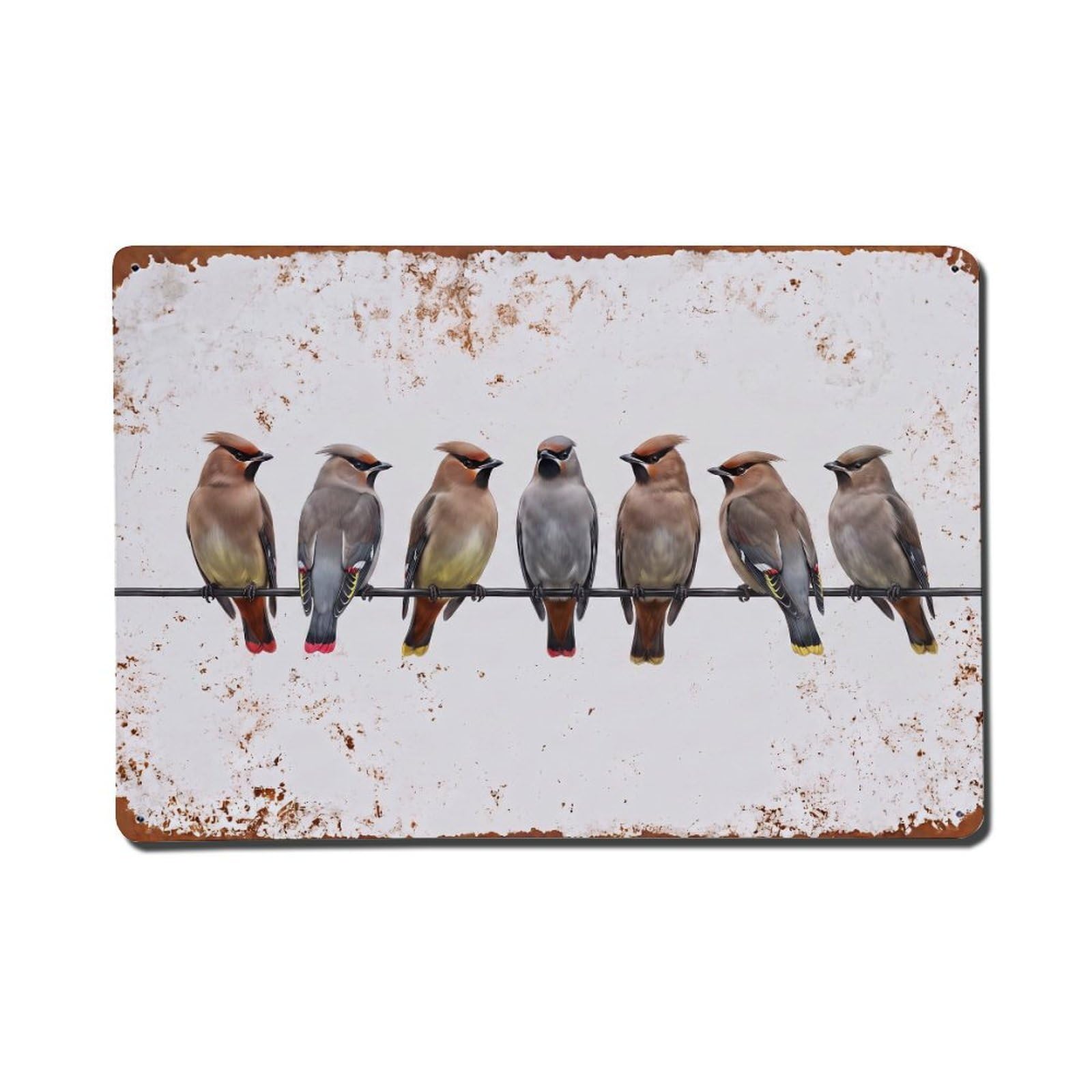 Vintage Retro Birds Waxwing Metal Tin Sign