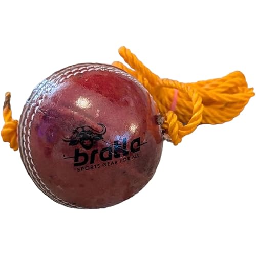 Hanging Cricket Ball with 10-Foot Cord | Leather Ball for Batting Practice & Hand-Eye Coordination | 5.5 oz Red Cricket Ball
