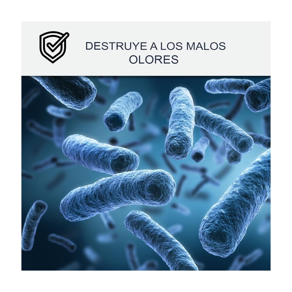 Pintura Anticondensación, Antiolor, Moho - ARCASCREEN 2,5 L Blanco | Anticondensación y Antiolor, Limita el Moho, Lavable, Paredes y Techos, Ambientes Húmedos - Arcane Industries