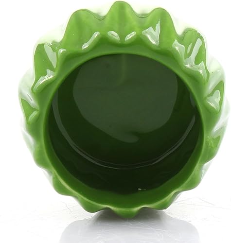 Miniatura 16 de Live Lucky Bamboo - Arreglo de 2 tallos en maceta redonda de cerámica roja, planta de bambú de la suerte para interiores en maceta de 4 y 6 pulgadas