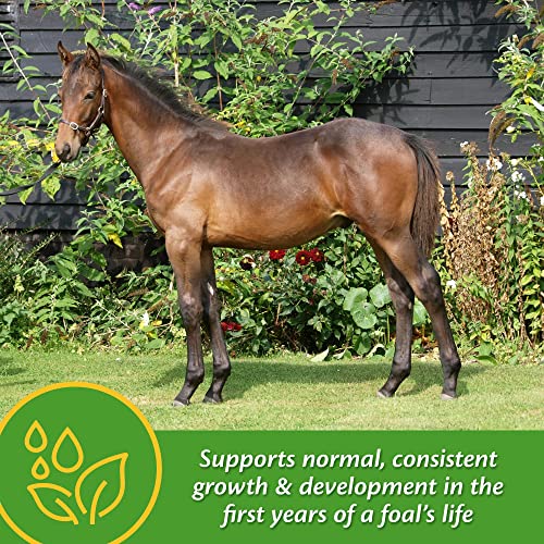 Farnam Grow Colt Supplement For Growth & Development, Supports Normal, Consistent Growth In First Years Of Foal's Life, 7.5 Lbs., 60 Day Supply #TOP2