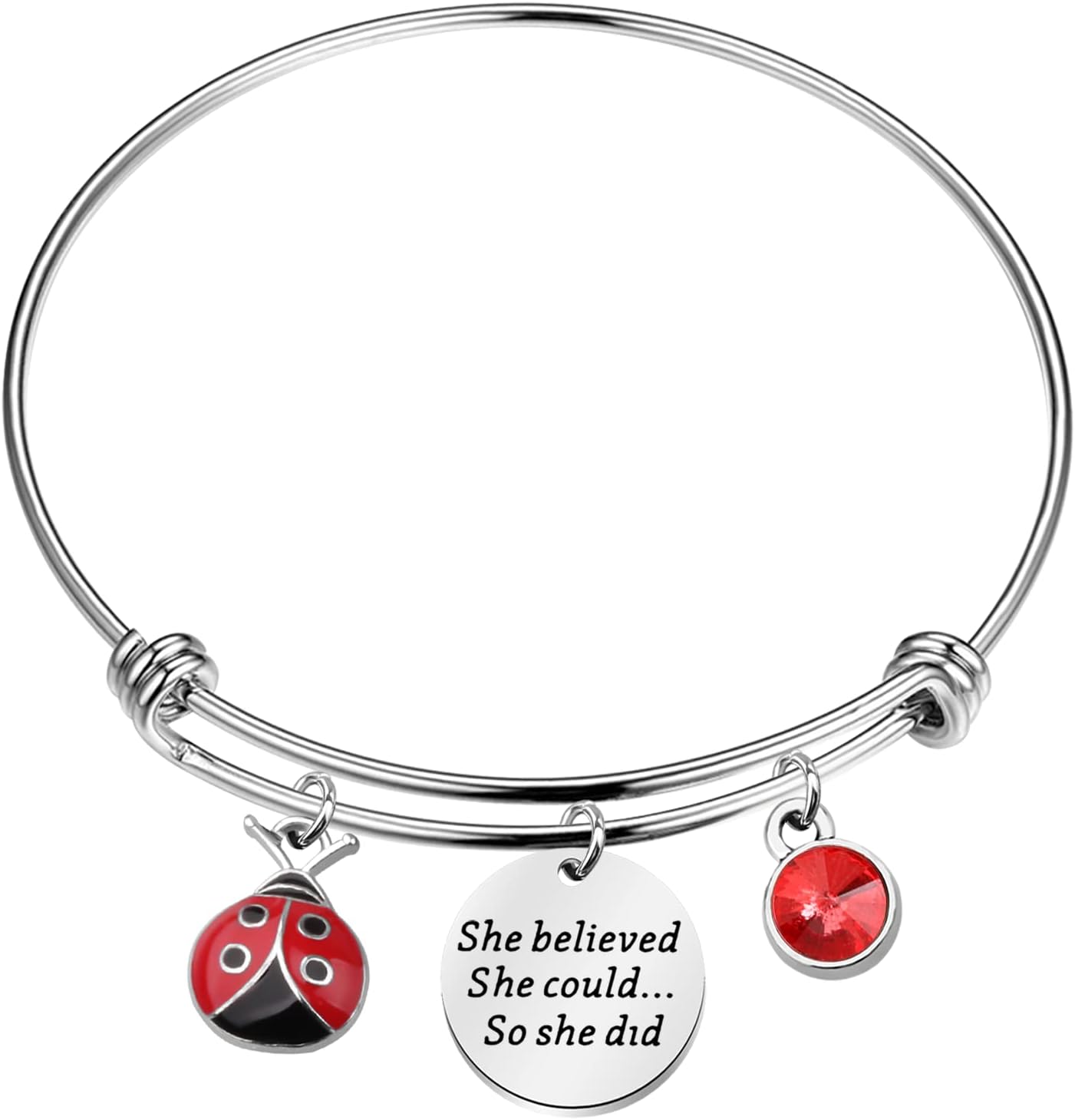 FAADBUK Ladybug Bracelet Ladybug Lover Gift She Believed She Could So She Did Inspiration Gift for Her