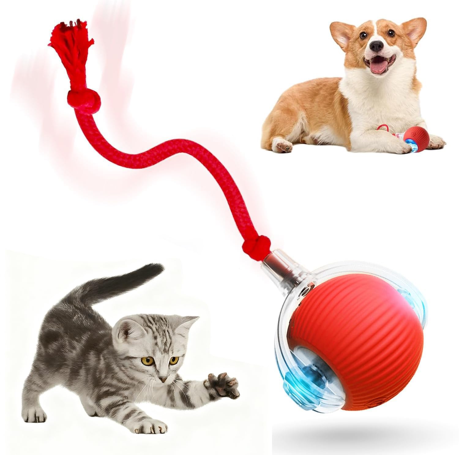 Tiny Fetch Dog Toy, 360° Rolling Interactive Fast Moving Toys Balls with Rope, for Dogs and Cat Indoor Play red